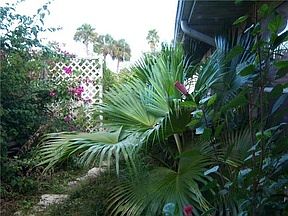 3rd image of 1488 Elkcam Blvd