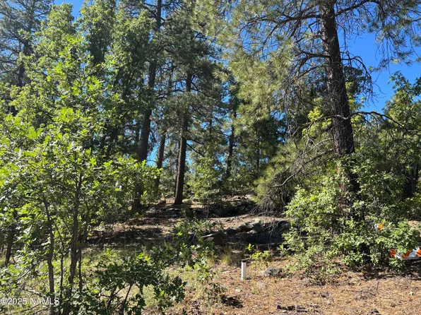 46 E Oak Dr, Munds Park, AZ 86017