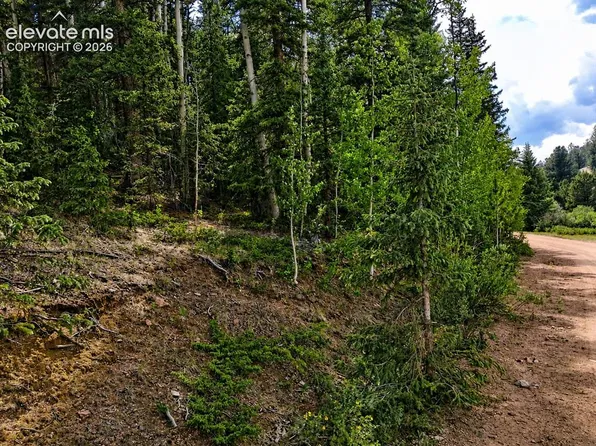 2462 Anges Dr, Cripple Creek, CO 80813