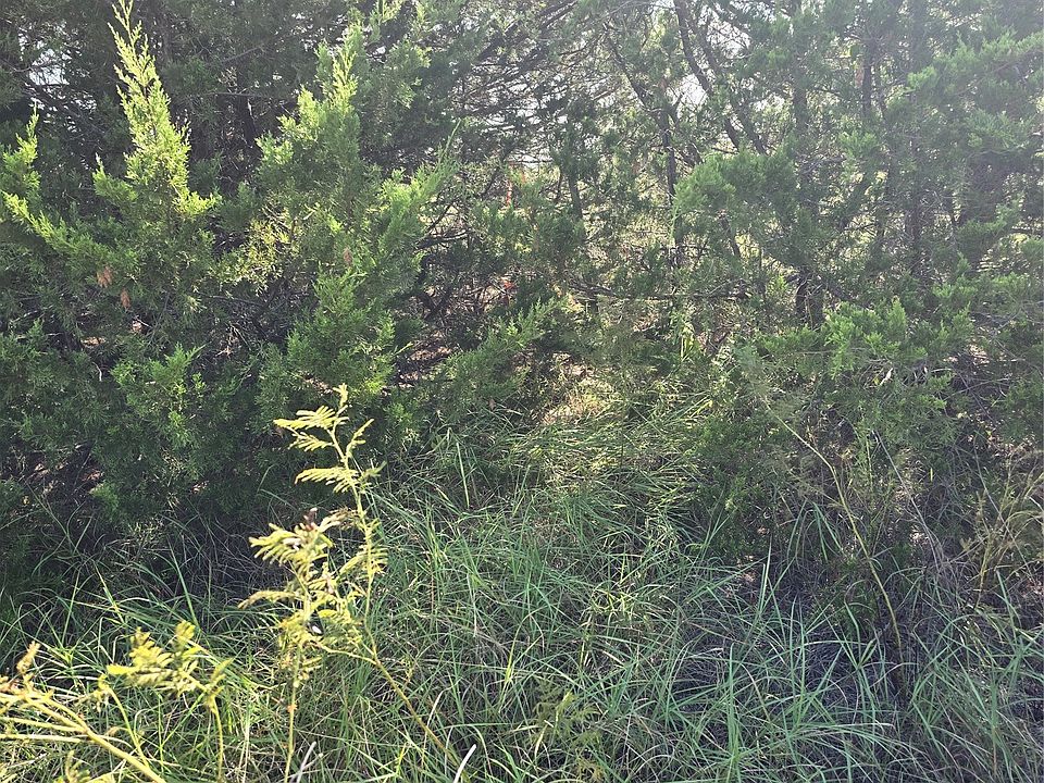 1st image of 3694 County Road 1103