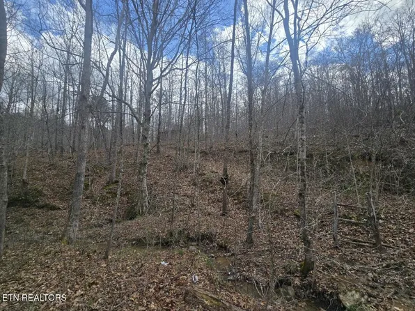 0 Straight Fork Rd, Huntsville, TN 37756