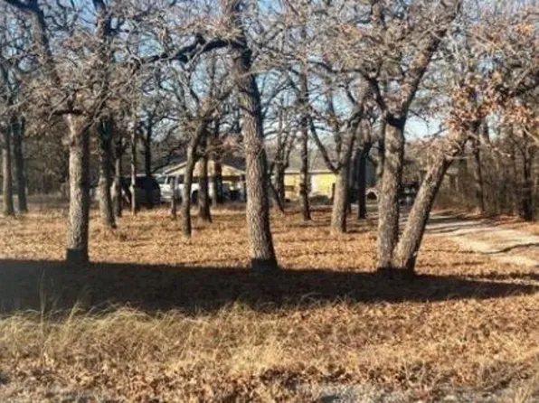 418 County Road 3451, Paradise, TX 76073