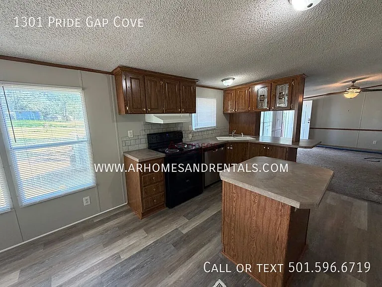 1301 Pride Gap Cv — Photo 5