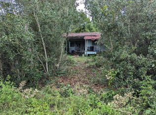 20645 SE 140th St, Umatilla, FL 32784