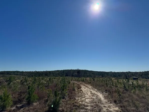 Aspalaga Rd, Chattahoochee, FL 32324