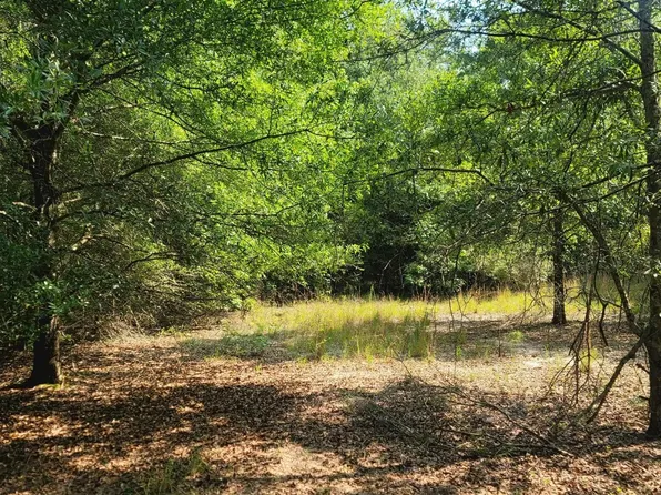 0 County Road 401 #1, Elba, AL 36323