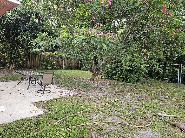 Backyard view