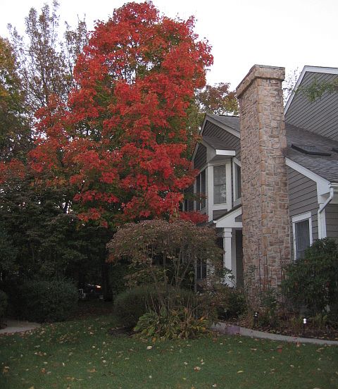 Fall