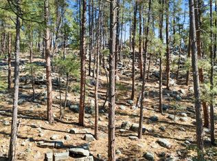 5455 E Big Bug Mesa Rd, Prescott, AZ 86303