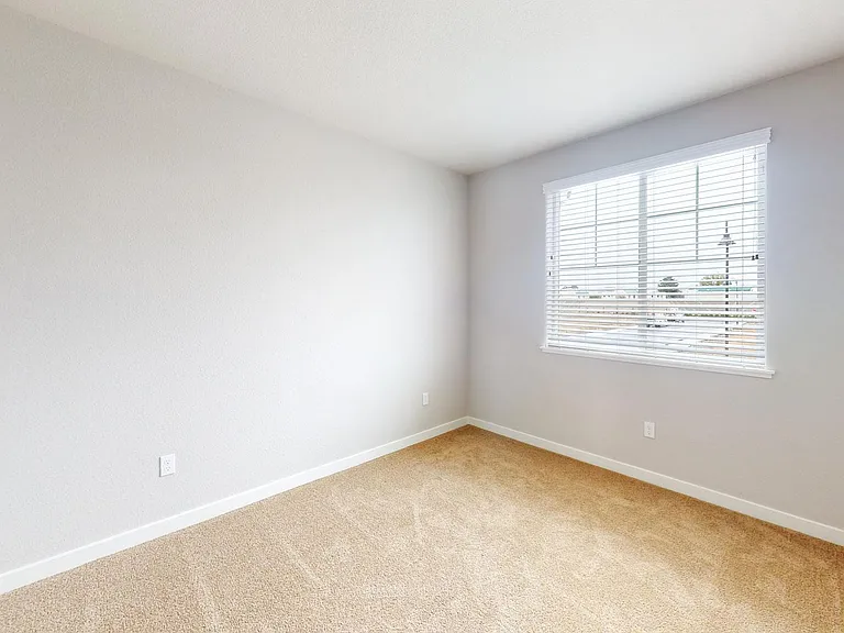 1582 Abundance Way — Photo 19