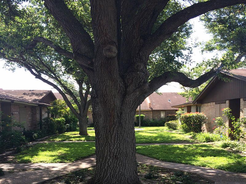 2nd image of 13656 Teague Ln APT 51