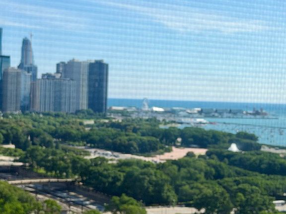 2nd image of 910 S Michigan Ave APT 1705