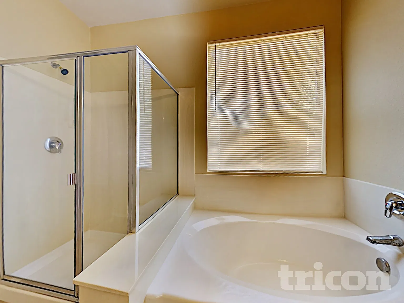 12234 W Grant Street Avondale AZ — Photo 3