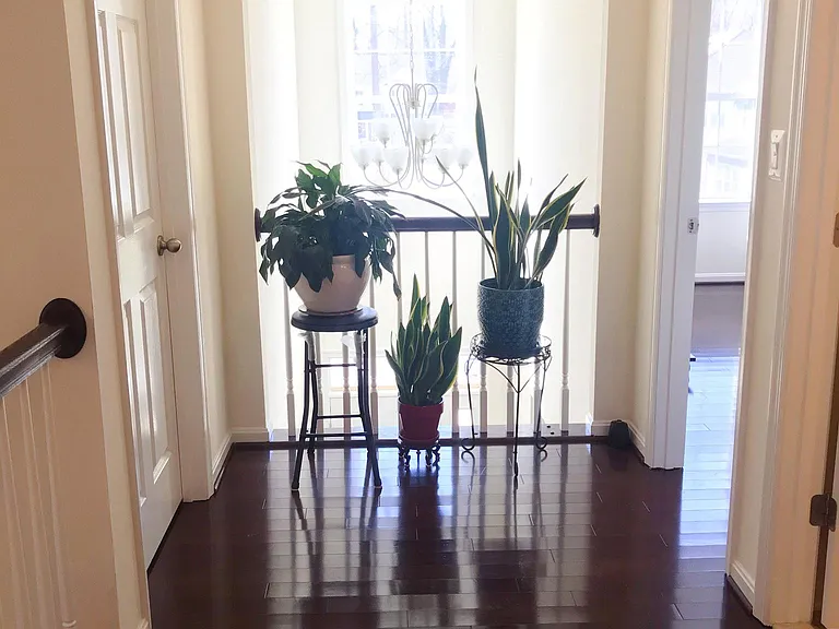 906 Saint Martins Loop — Photo 25