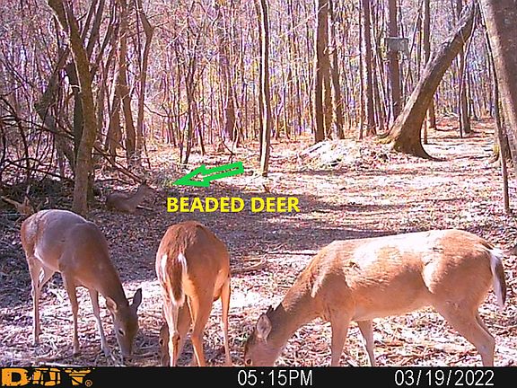 3rd image of 0 County Road 3204