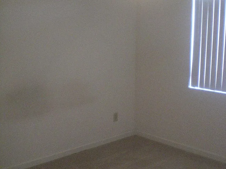 7425 Charmant Dr #2909 — Photo 17