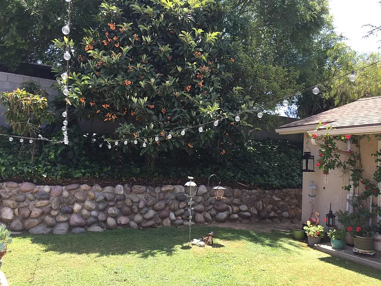 Beautiful rock wall. Fruit trees to share.