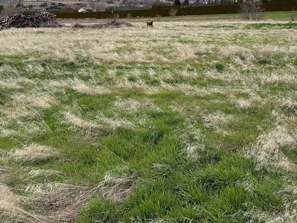 1st image of Summitview 96th