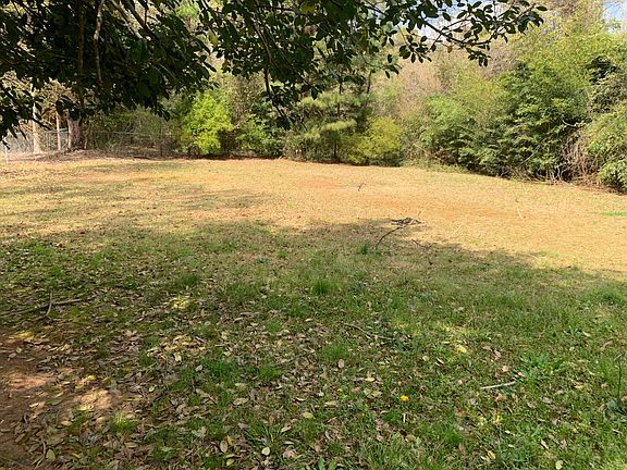 Large backyard