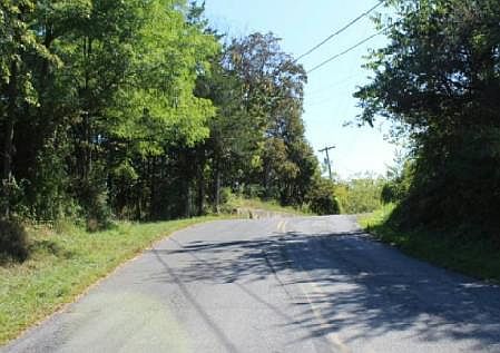 5th image of 116 Cauterskill Ave