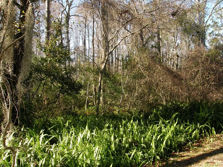 12041 Environmental Dr — Photo 24
