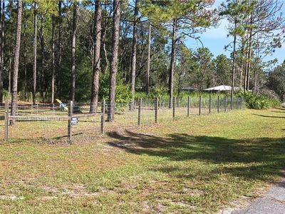 2645 W Vespero St, Citrus Springs, FL, 34433