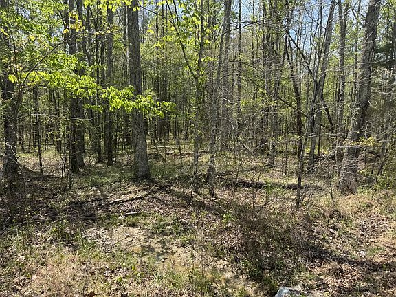 2nd image of 0 Lewis Rd Lot 2
