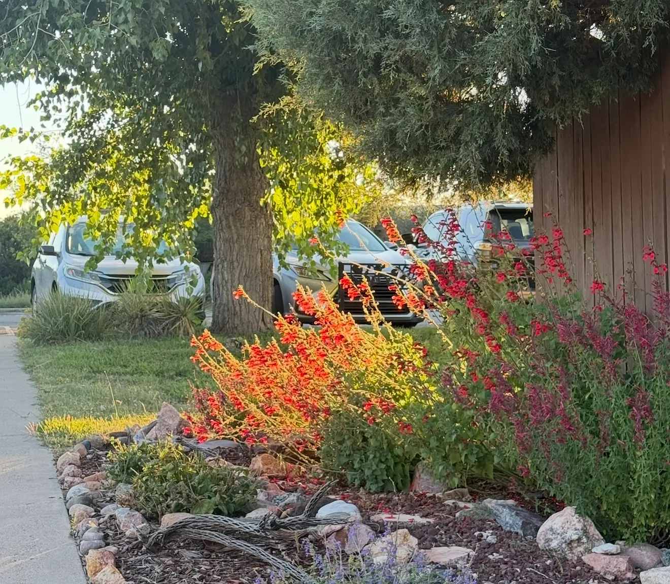2 bed, 890 sqft, $2,300 — Photo 4