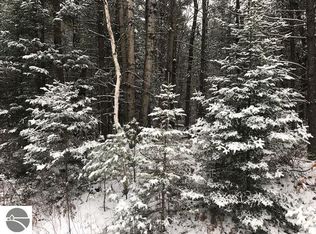 Lund Rd, Fife Lake, MI 49633