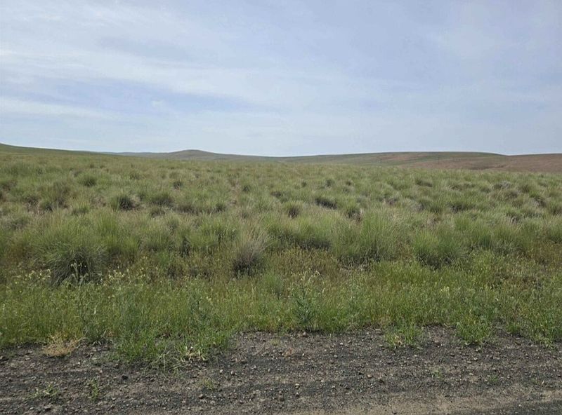 3rd image of 35 Turpin Road