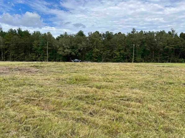 2068 Palmer Rd, Livingston, LA 70754