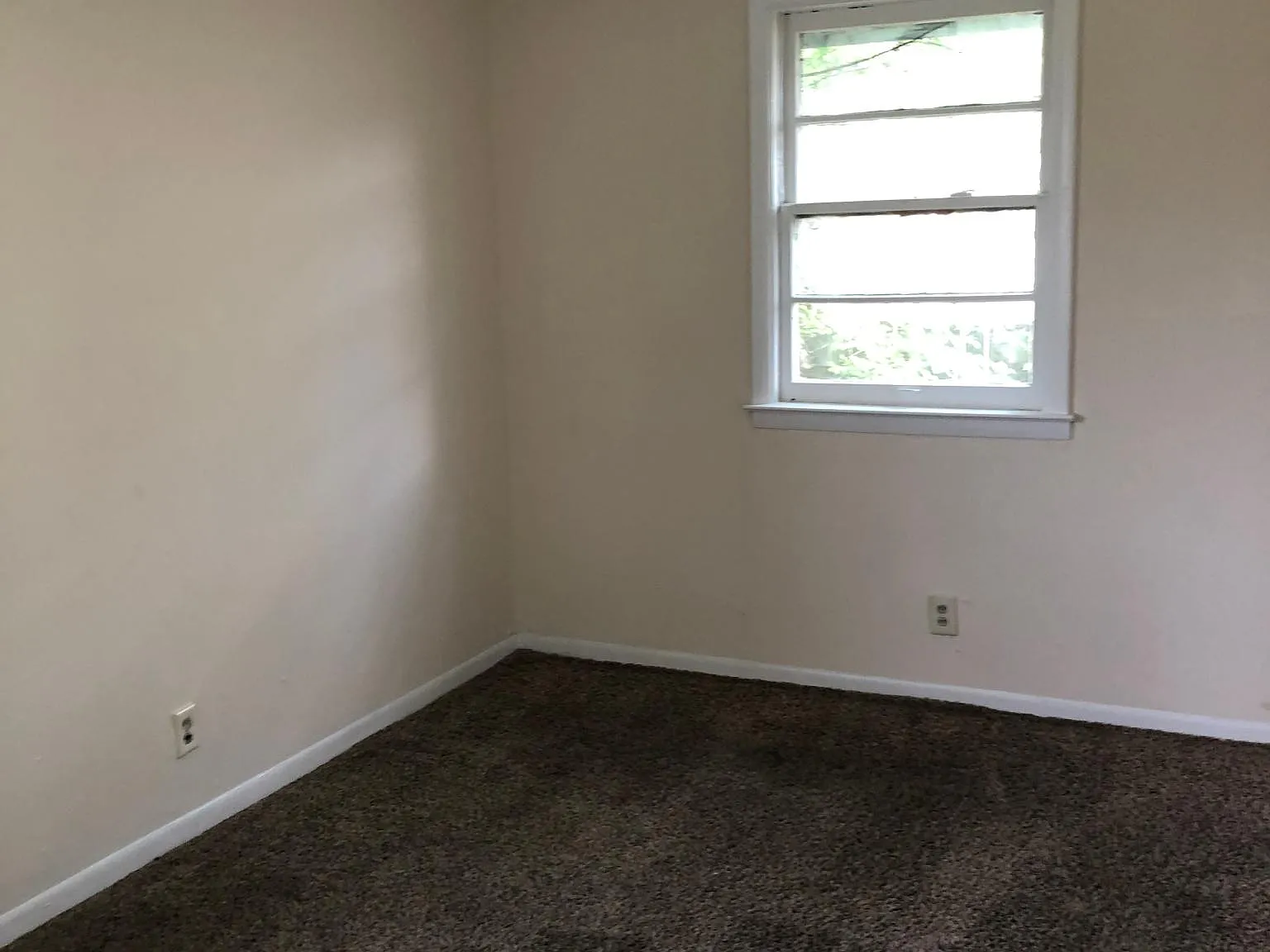2 bed, 800 sqft, $1,175 — Photo 4