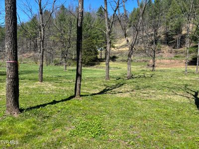 0 Greer Branch Rd, Laurel Bloomery, TN, 37680