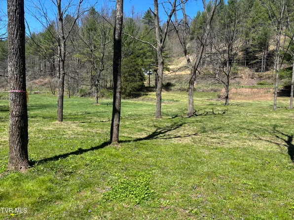 0 Greer Branch Rd, Laurel Bloomery, TN 37680