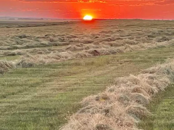Highway 23, Rural Foothills County, AB T0L 0J0