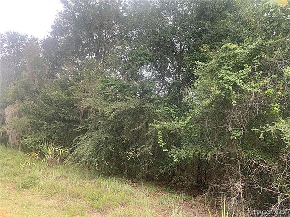 3rd image of 11999 W Checkerberry Dr