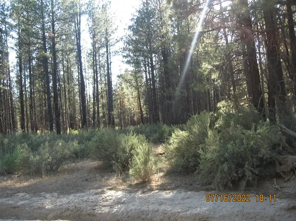 1 Gray Wolf Ln, Sprague River, OR 97639