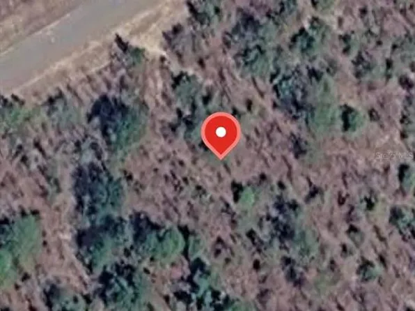 Albion Dr Lot 35, Chipley, FL 32428