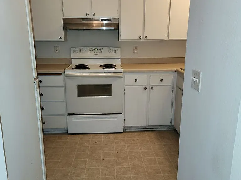 937 Nandina St — Photo 3