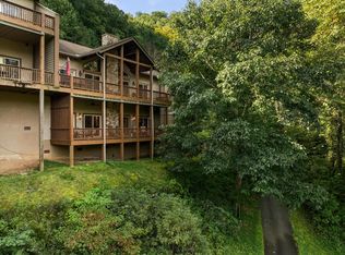 226 Sawgrass Dr #2, Whittier, NC 28789