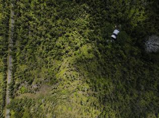 Alani St, Mountain View, HI 96771