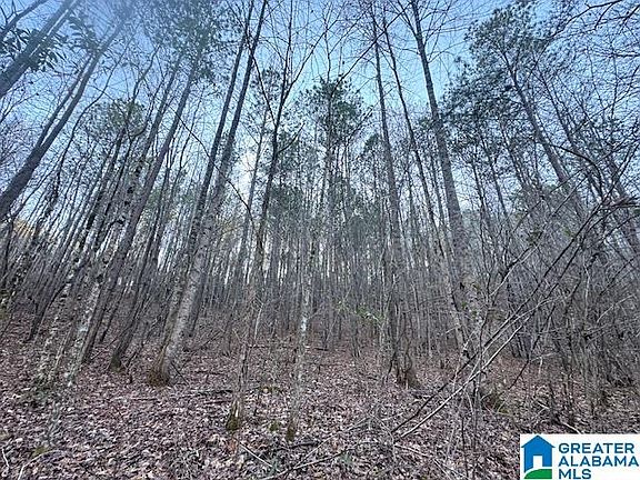 4th image of 170 Valley Grove Rd