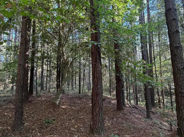 Coons Mill Rd, Centreville, MS 39631