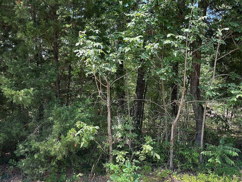 1st image of 106 Red Bluff Loop