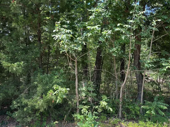 106 Red Bluff Loop, Mabank, TX 75156
