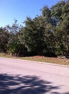 2nd image of Raccoon St