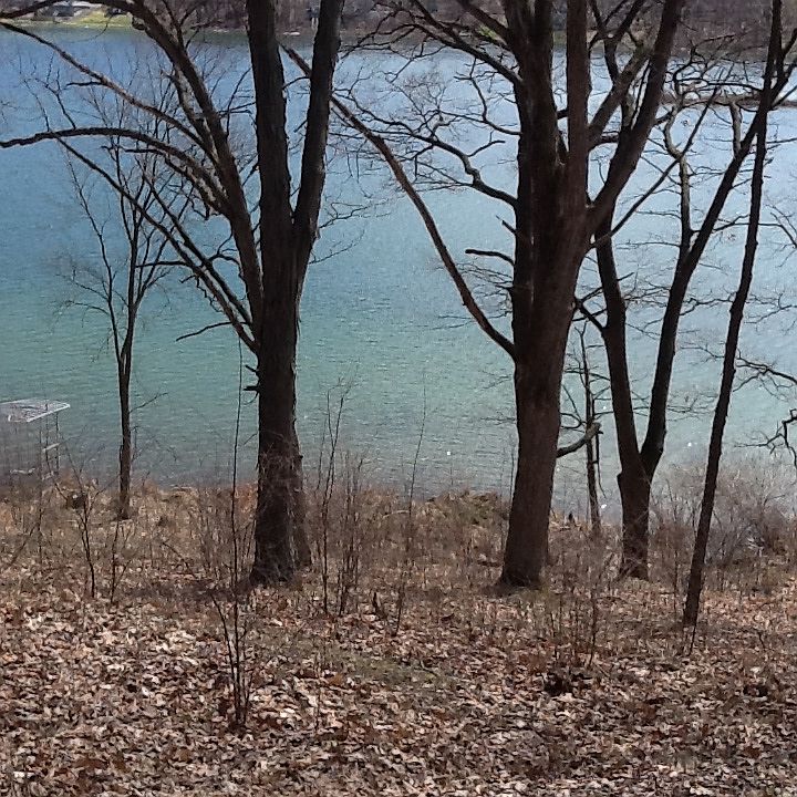 1st image of 10999 Old Oak Drive #Lot 1