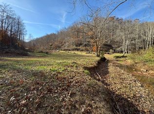 310 Tanner Fork Rd, Shock, WV 26638