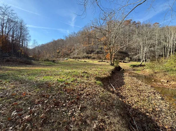 310 Tanner Fork Rd, Shock, WV 26638