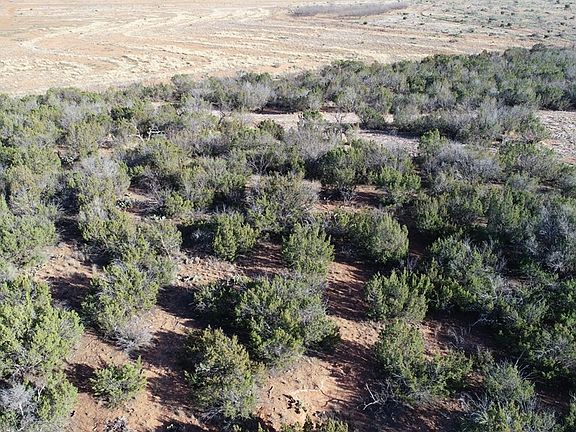 3rd image of Fm 1856